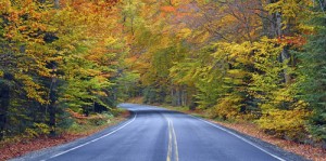 fall foliage on highway