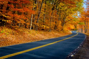 autumn roadway