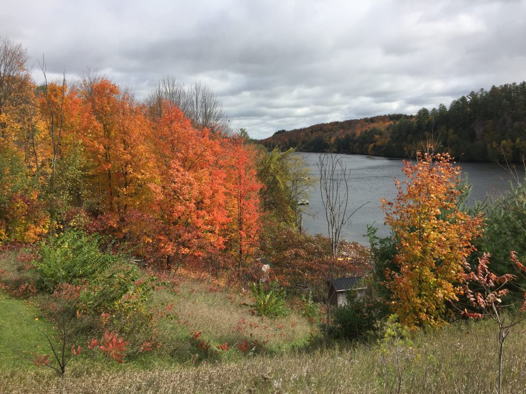 ontario in fall colour