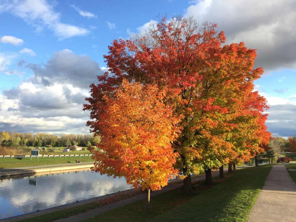 peterborough ontario with autumn colors