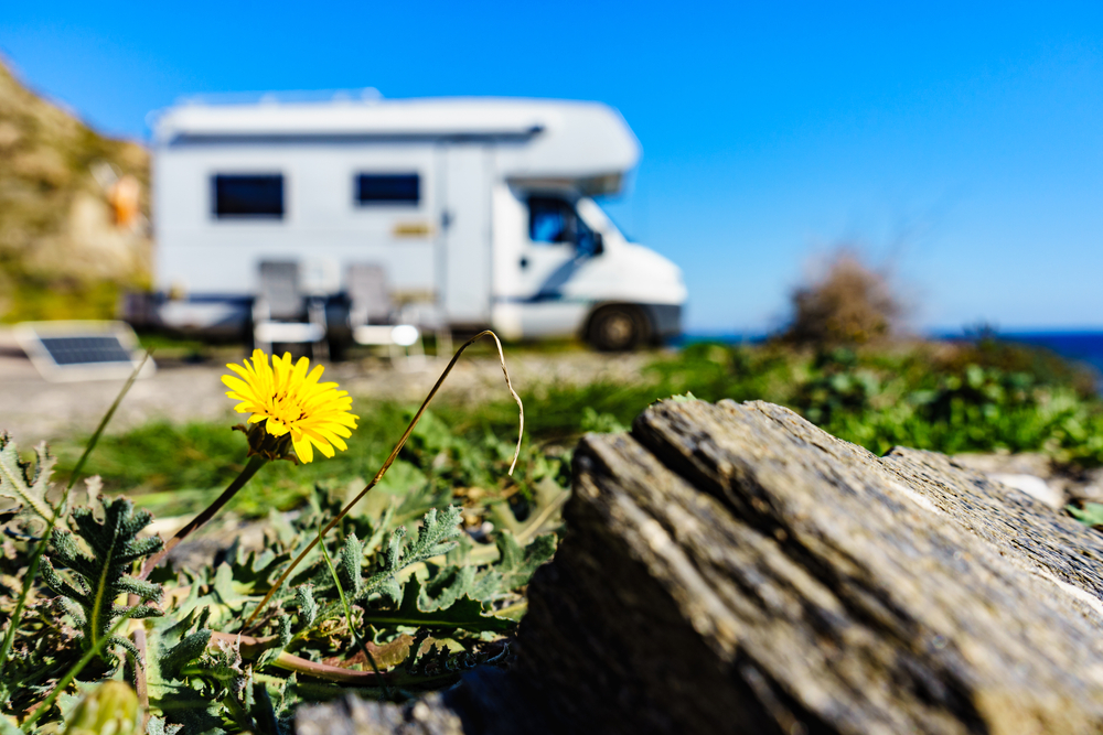 recreational vehicle parked at camp site