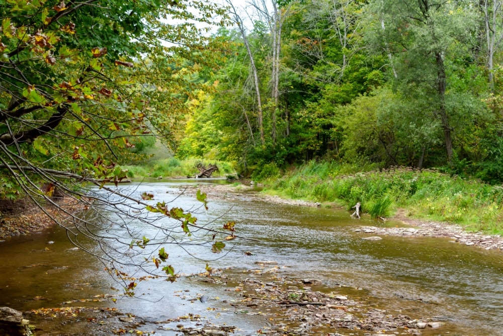 Bronte Creek provincial Park, with the view of the 12-mile creek