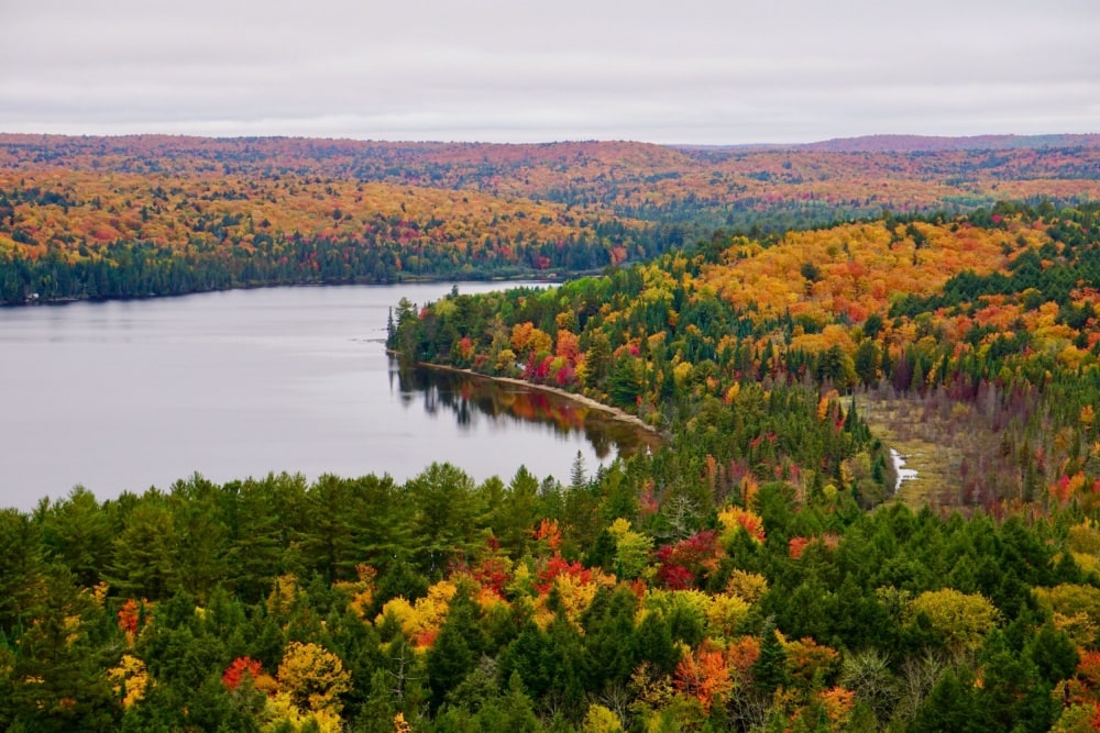 Overlooking the Rock Lake, Algonquin Provincial Park, Muskoka