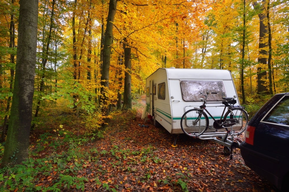 parked trailer in a forest