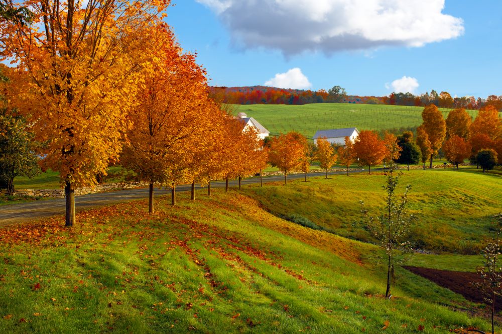 shutterstock_110406425