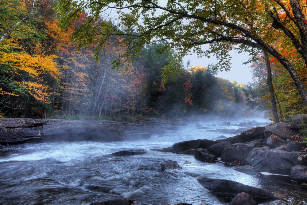 algonquin provincial park ontario