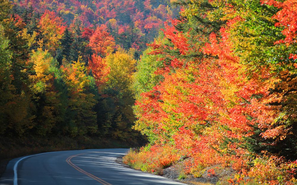 shutterstock_498133693